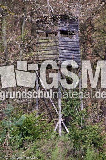 Hochstände (69 von 154).jpg